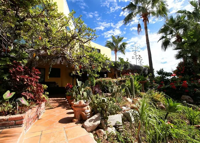 Rukhsana's Retreat An Alcohol Free Bed & Breakfast El Bedito